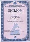 2016-2017 Белов Алексей 11л (РО-физика)